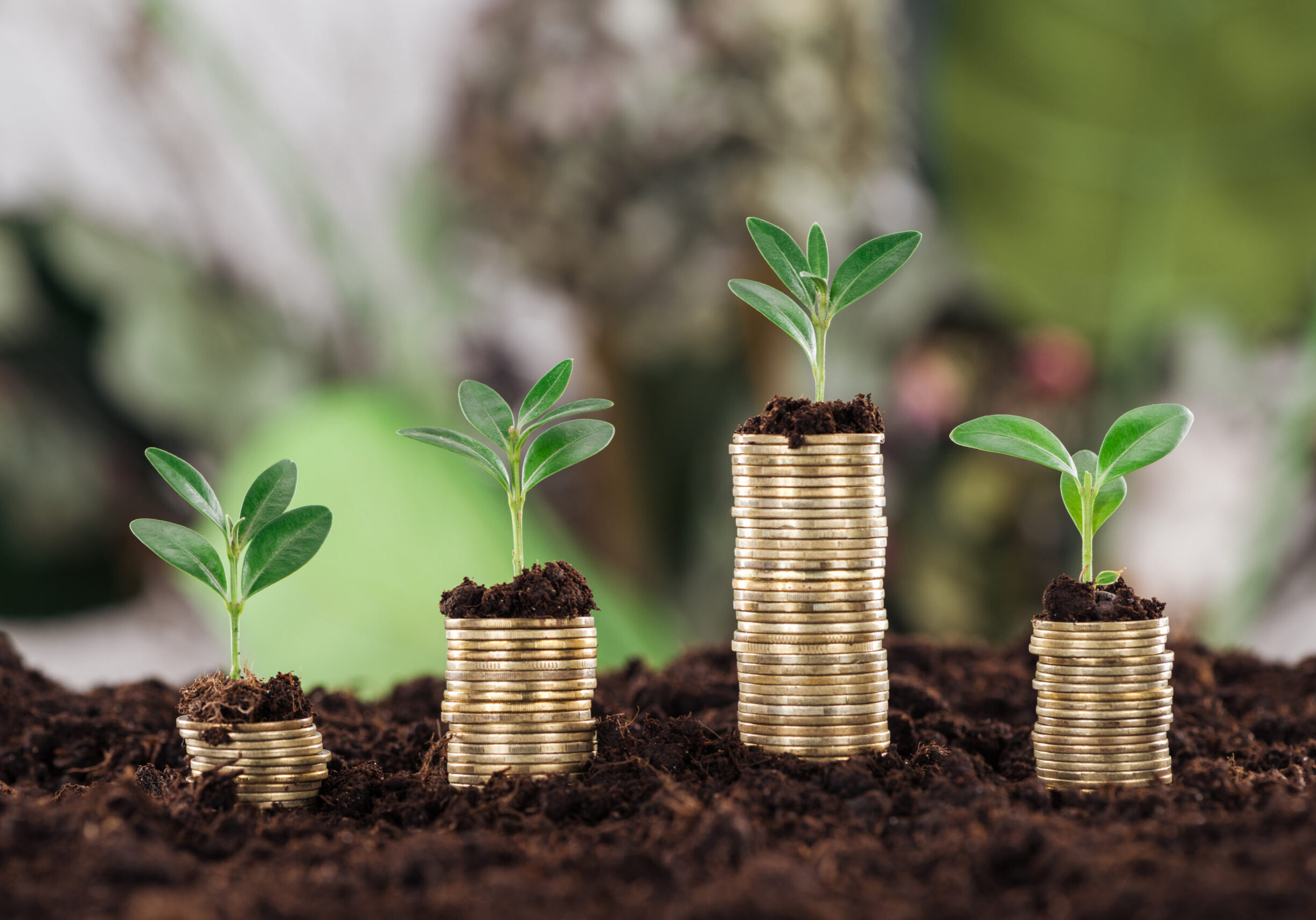 Stacks of coins with young green plants sprouting from the tops, symbolizing financial growth and investment.